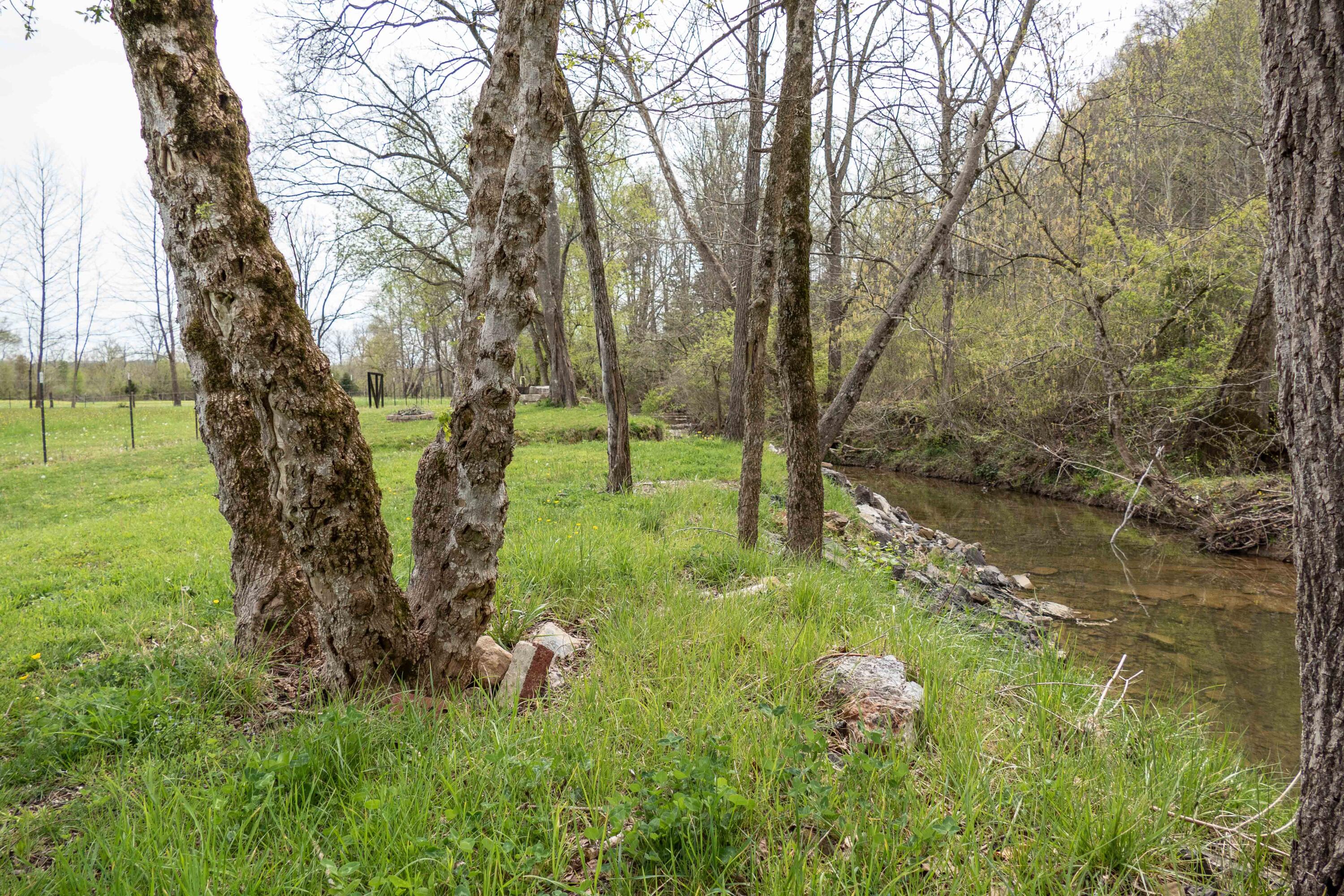 993 Murrell Road Kingsport, TN 37660 - Photo 60 of 65 P1050399-9