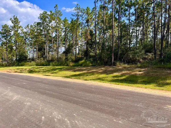 $170,000 | Lot 28 Morgans Branch, Molino, FL 32577