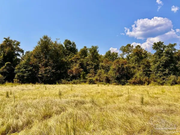 $170,000 | Lot 28 Morgans Branch, Molino, FL 32577