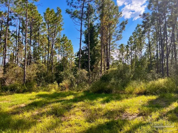 $170,000 | Lot 28 Morgans Branch, Molino, FL 32577