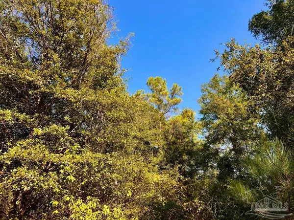 $170,000 | Lot 28 Morgans Branch, Molino, FL 32577