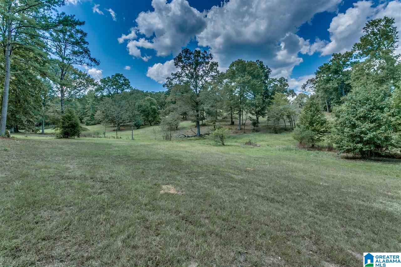 184 Jenkins Farm Road Helena, AL 35080 - Photo 17 of 25