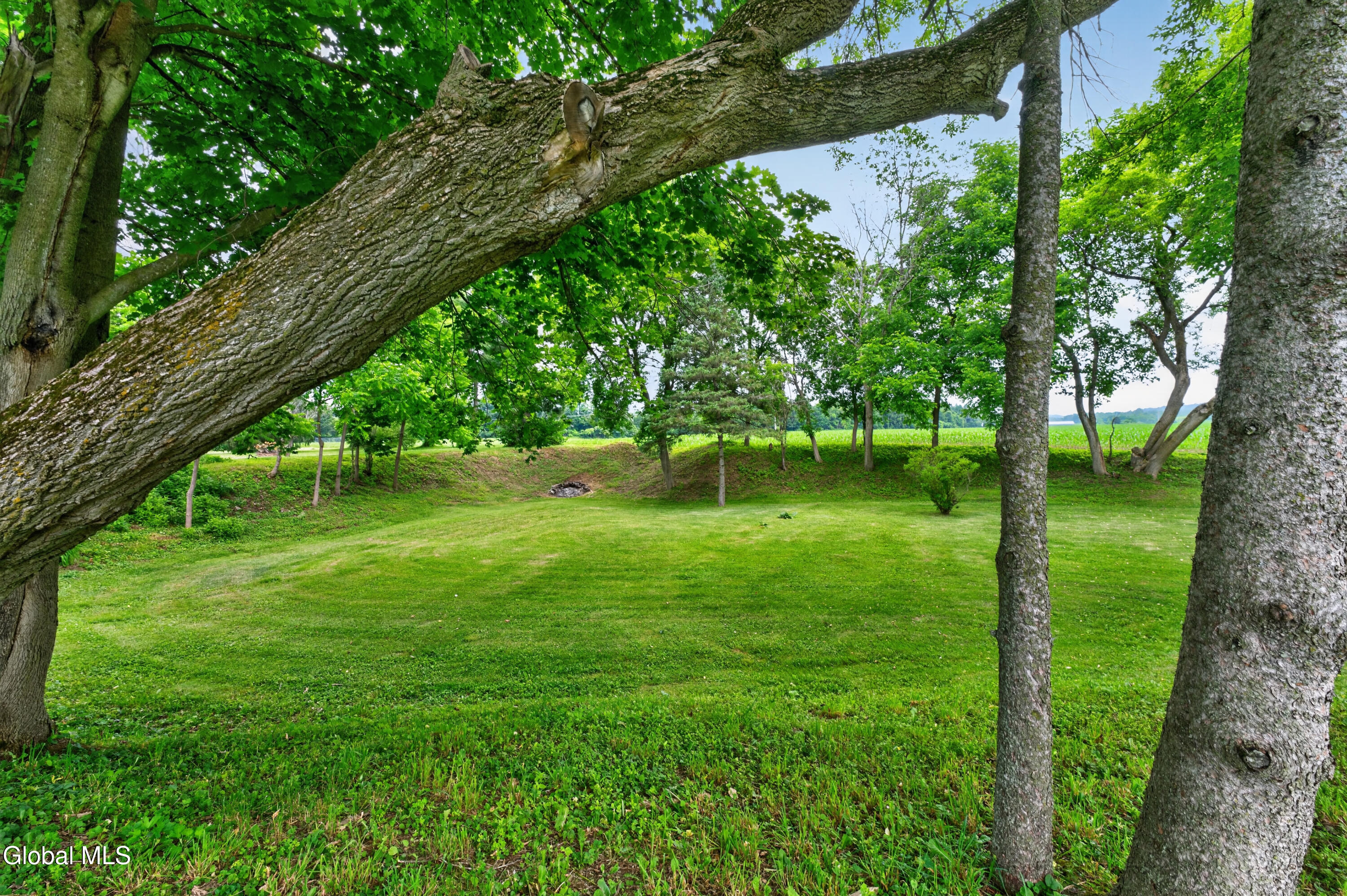 161 County Highway Springfield Center, NY 13468 - Photo 20 of 70 Yard 13