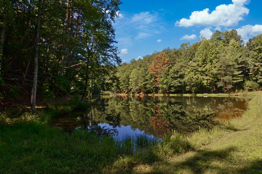 161 Walnut Ridge Ellijay, GA 30536 - Photo 66 of 66 Common Area - Community Lake