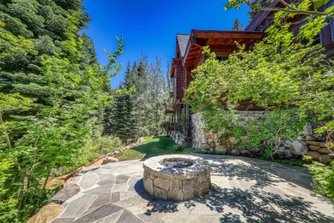 a view of a backyard with plants and trees
