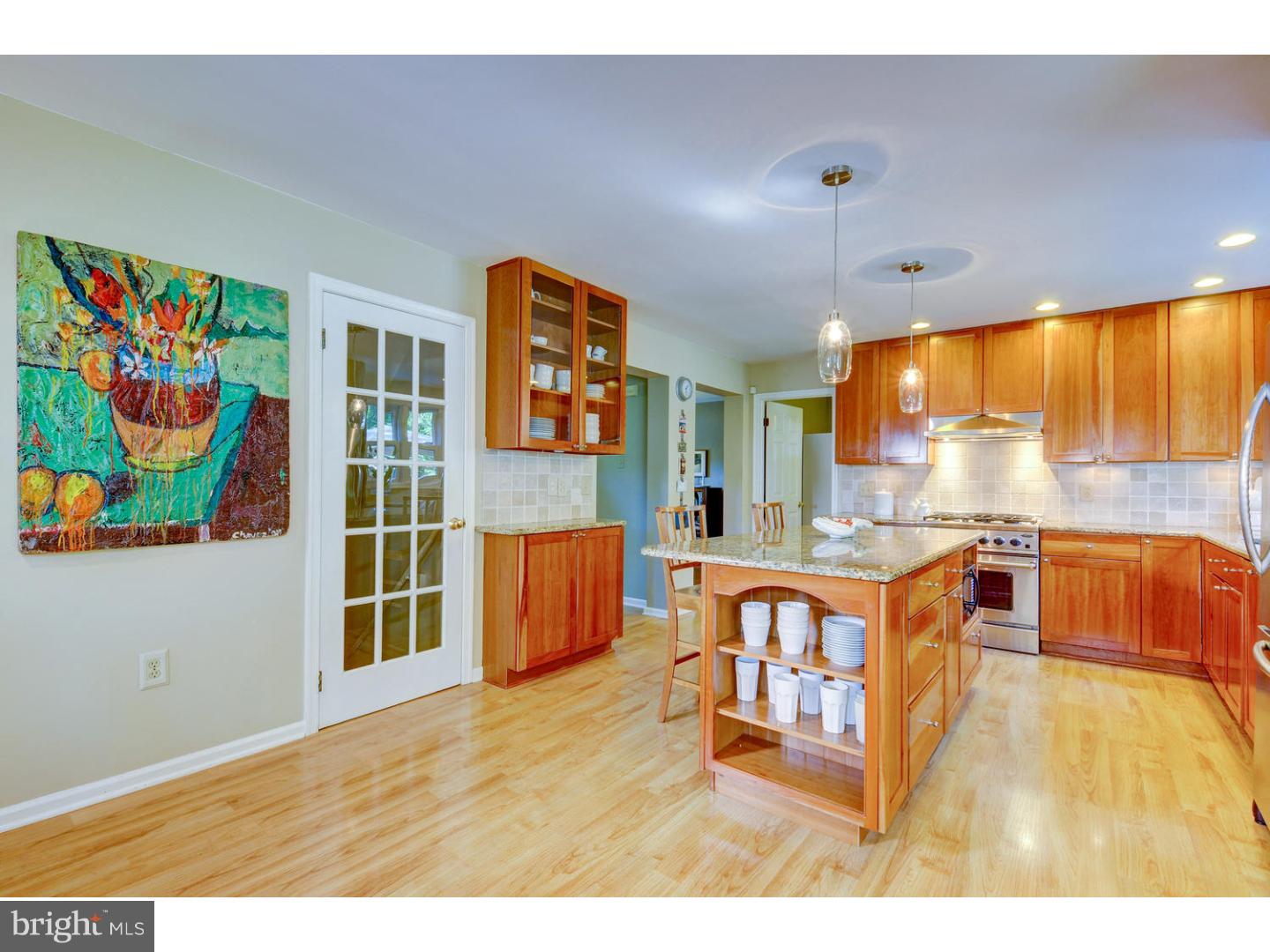 4 Millstone Road Princeton Junction, NJ 08550 - Photo 9 of 25 Kitchen