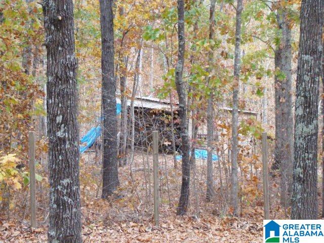 2040 County Road 40 Fruithurst, AL 36262 - Photo 7 of 31