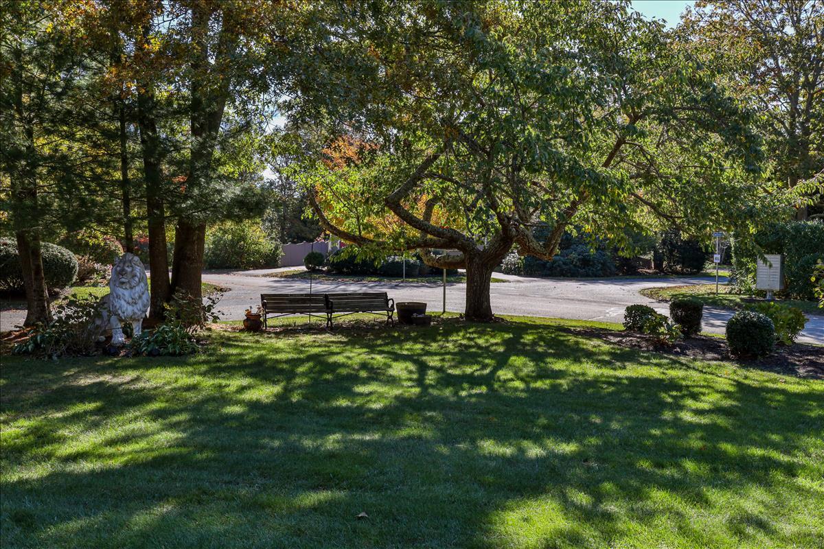 524 Prince Hinckley Road Centerville, MA 02632 - Photo 4 of 43 a view of backyard with green space