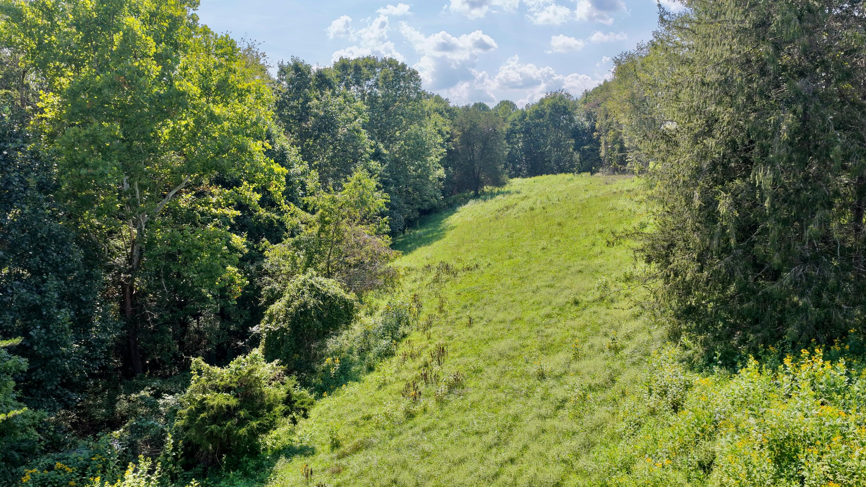 3513 War Ridge Road Wayside, WV 24985 - Photo 69 of 71 Gallery Image 69