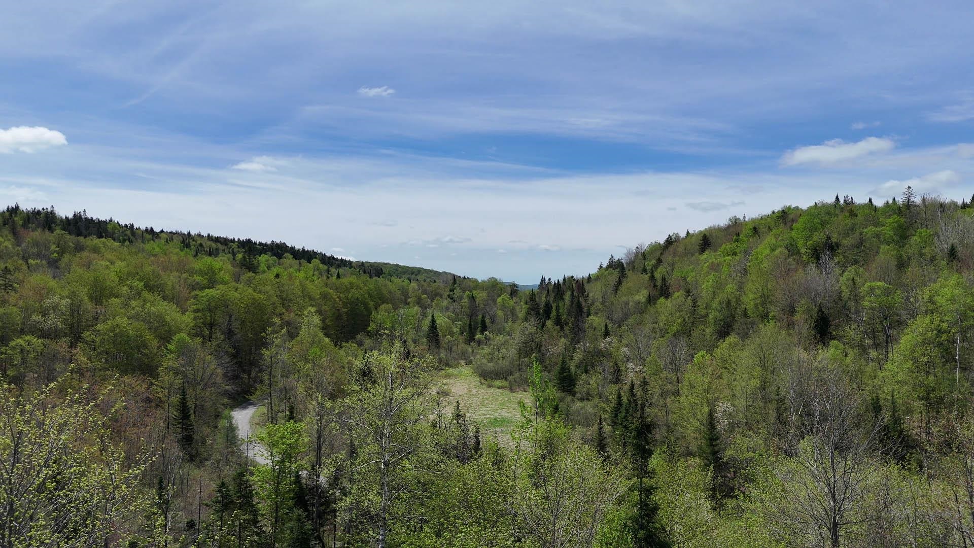 2900 Old Duck Pond Road Sheffield, VT 05866 - Photo 10 of 12