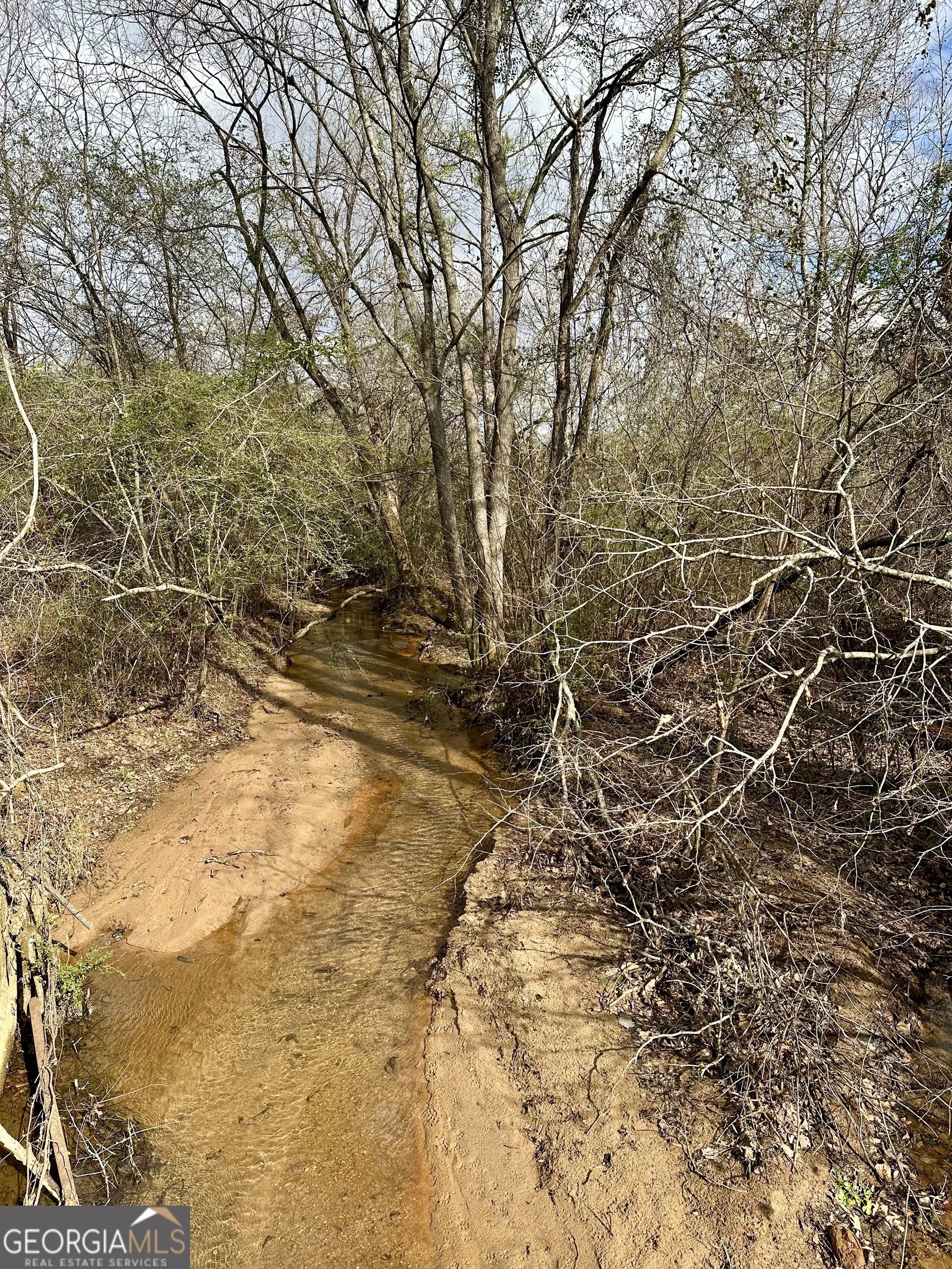0 Sims Road Winder, GA 30680 - Photo 6 of 7