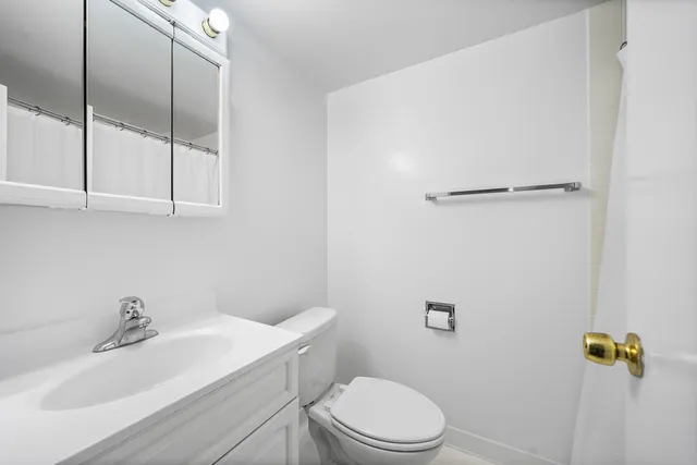 a bathroom with a sink a toilet and vanity