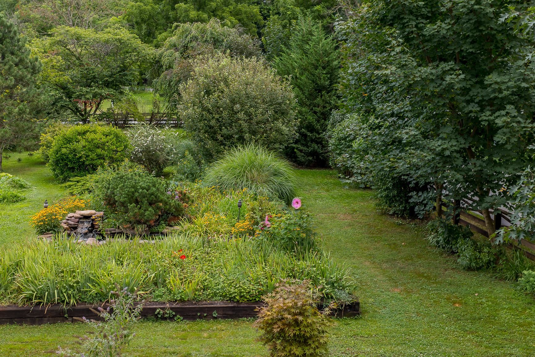 711 Free Mason Run Road Mount Solon, VA 22843 - Photo 54 of 70 a view of a garden with a tree