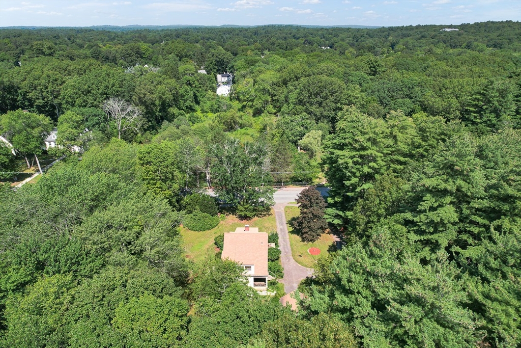 53 Elmwood Road Wellesley, MA 02481 - Photo 11 of 18 Gallery Image 11