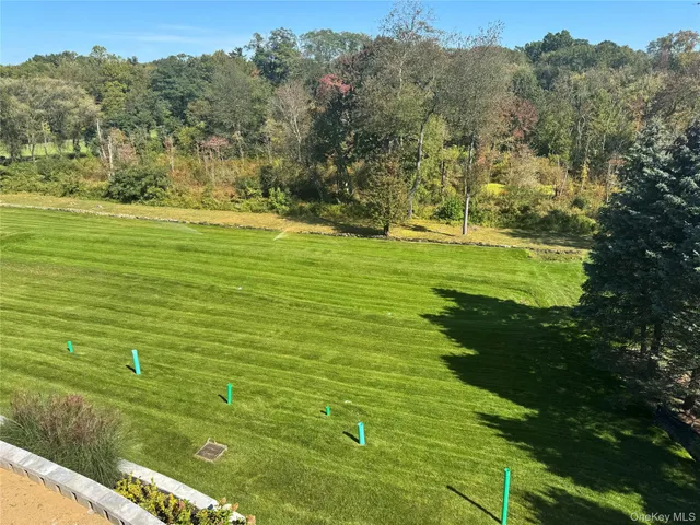 a view of an ocean from a yard