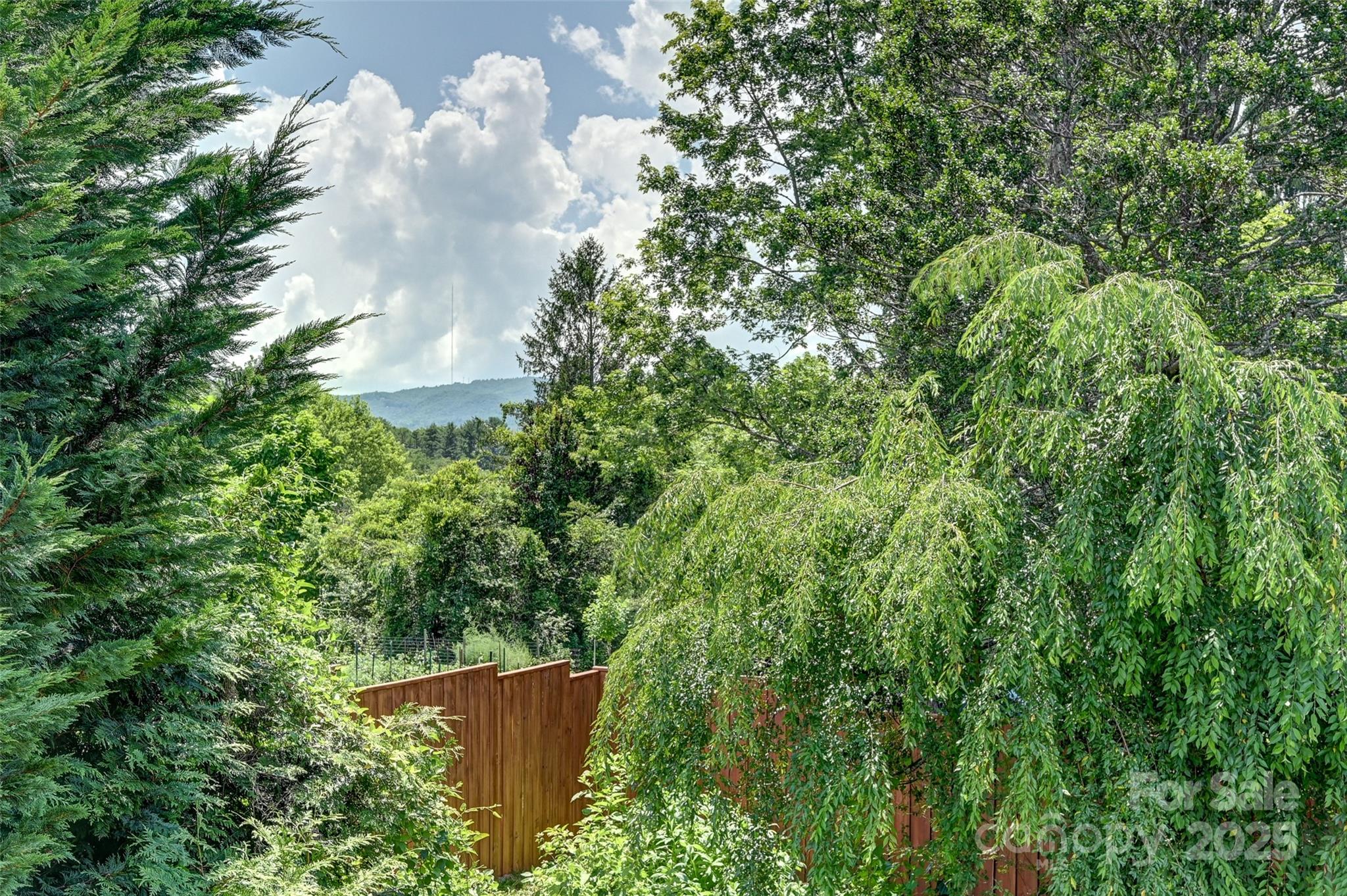 14 Monroe Street Brevard, NC 28712 - Photo 22 of 48