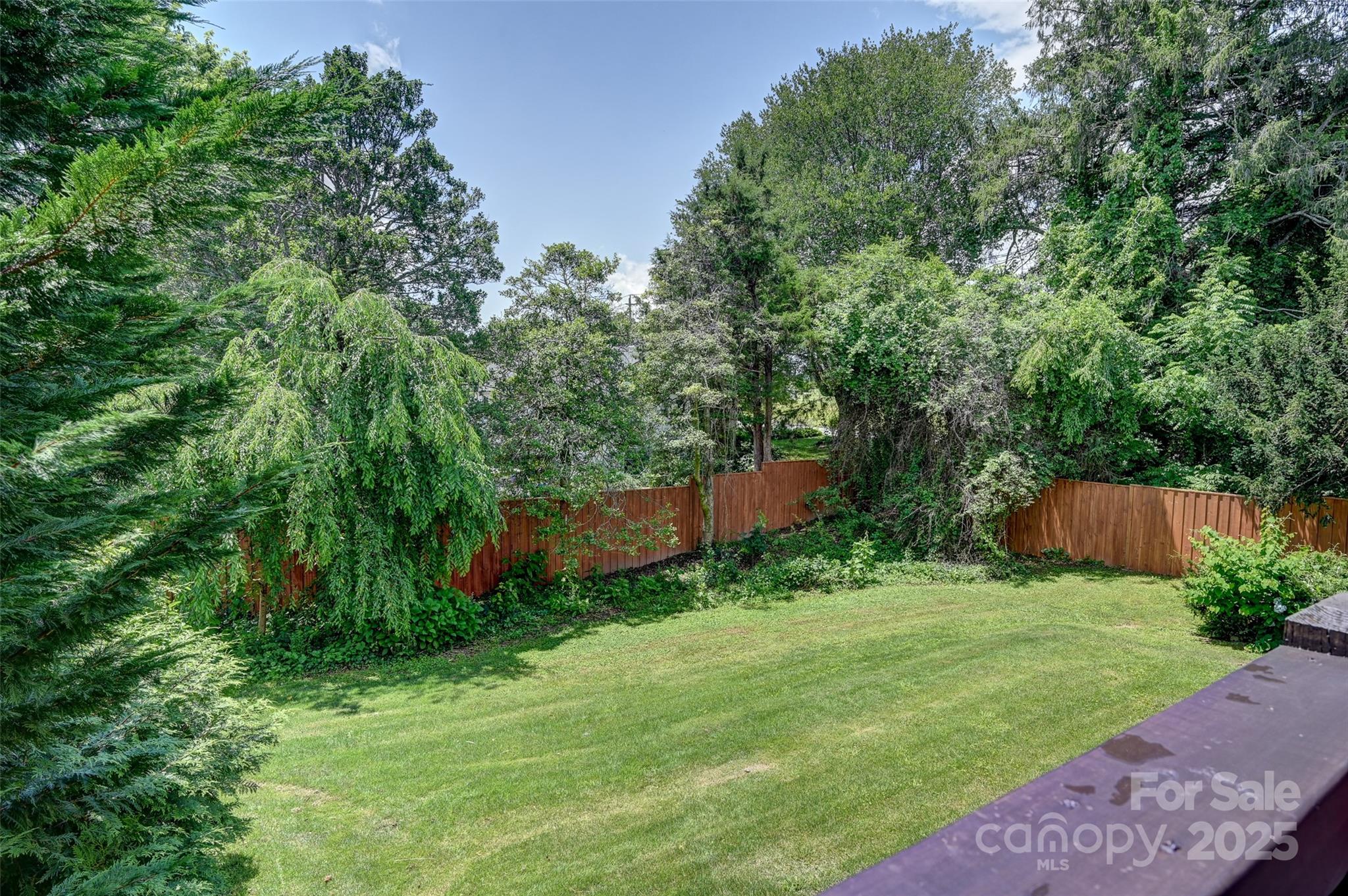 14 Monroe Street Brevard, NC 28712 - Photo 23 of 48 a view of a backyard with potted plants and large trees