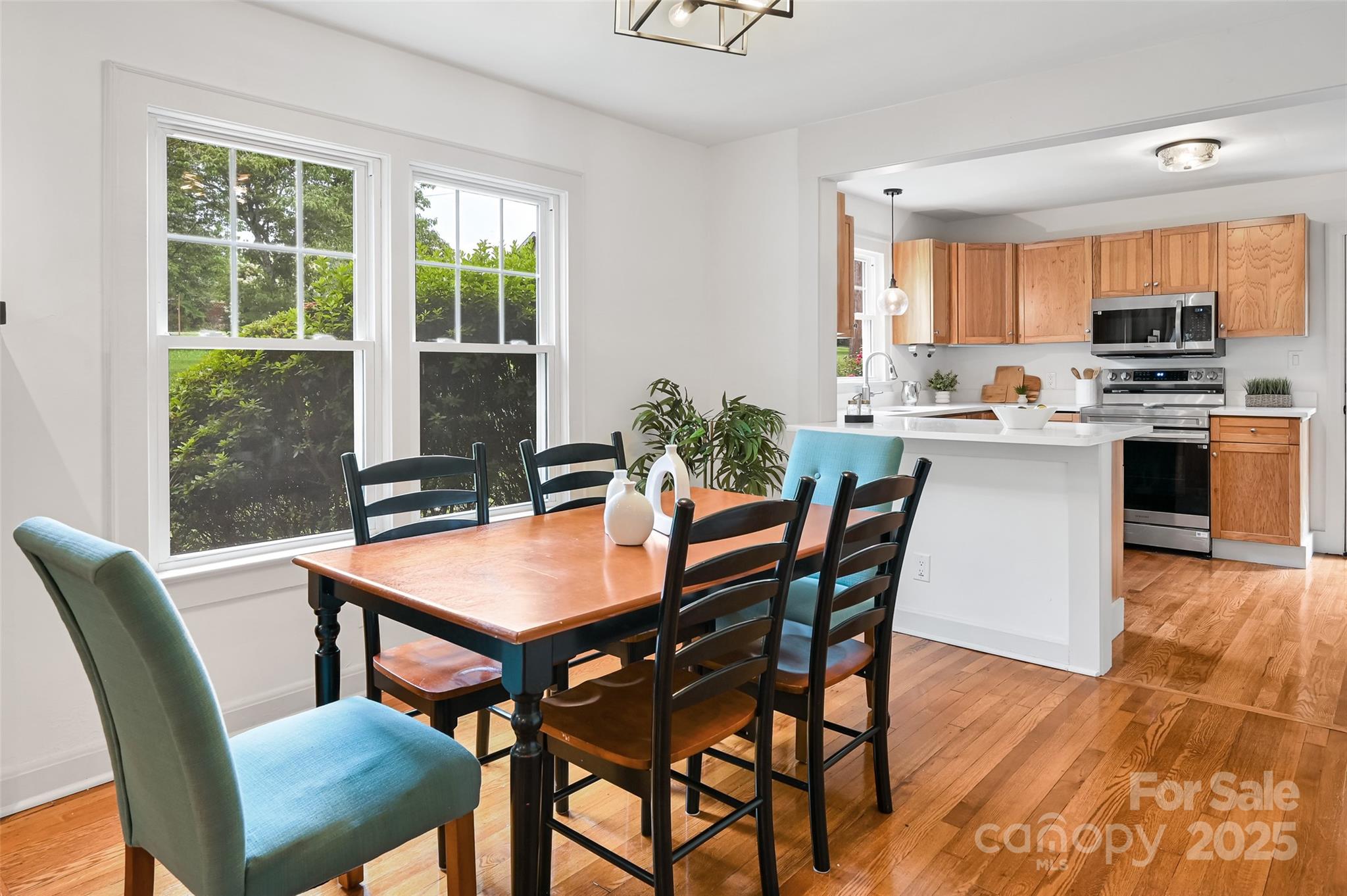 14 Monroe Street Brevard, NC 28712 - Photo 34 of 48 a view of a dining room with furniture window and outside view