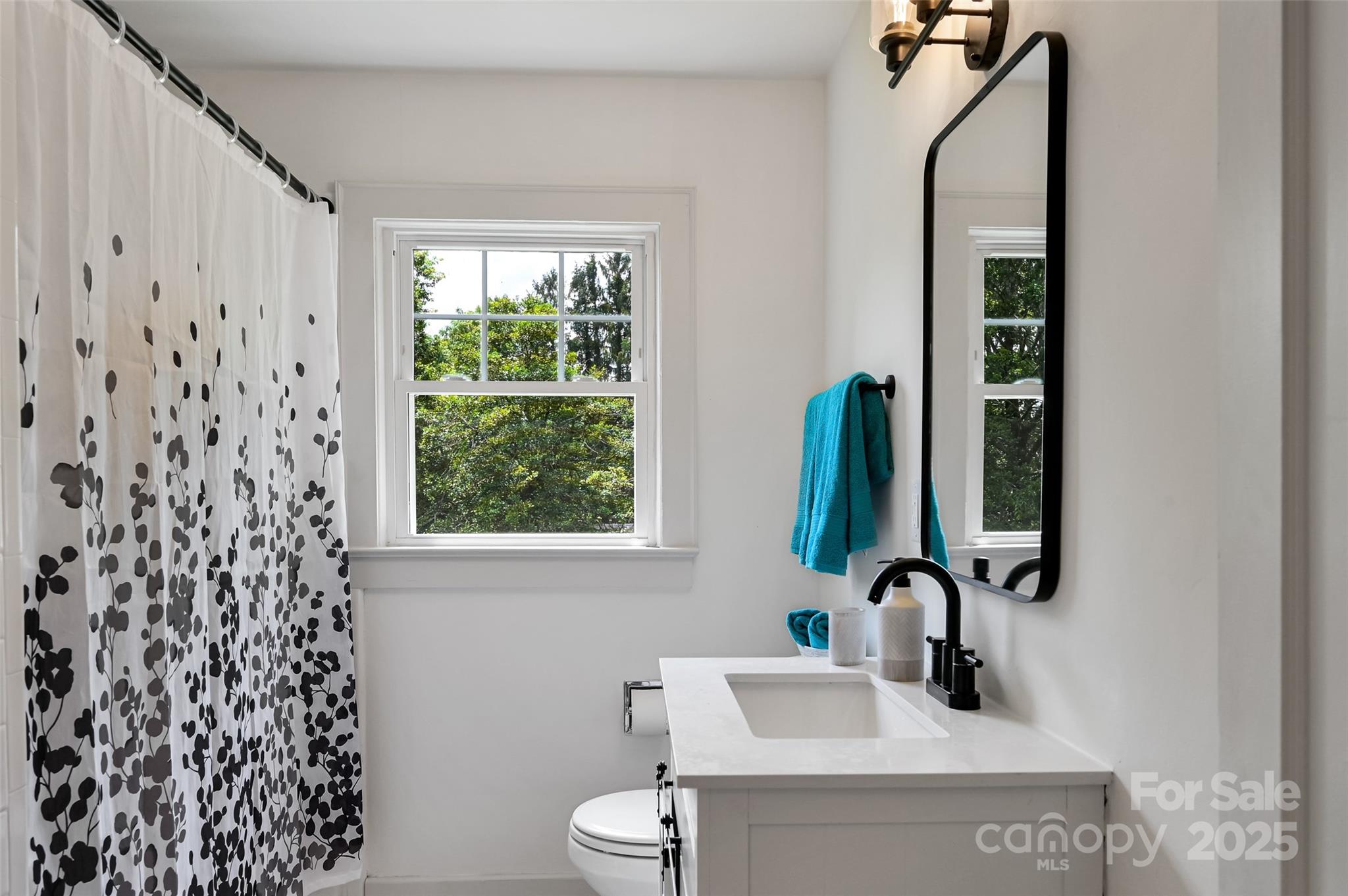 14 Monroe Street Brevard, NC 28712 - Photo 41 of 48 a bathroom with a sink a toilet and a mirror