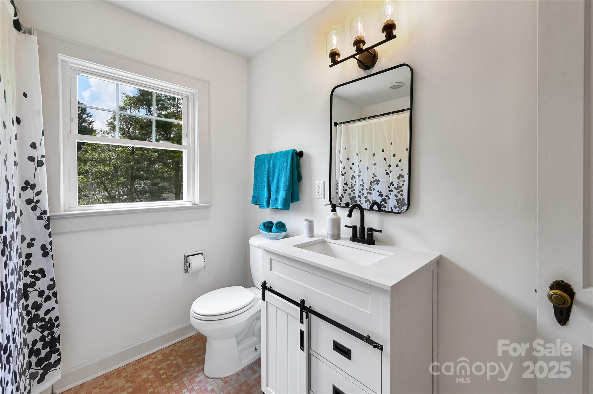 14 Monroe Street Brevard, NC 28712 - Photo 42 of 48 a bathroom with a sink toilet and mirror