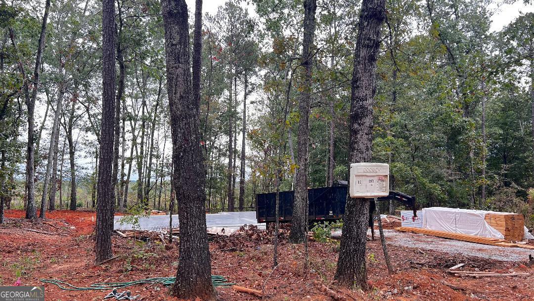 187 Coffey Road Barnesville, GA 30204 - Photo 23 of 27 a front view of a house with trees