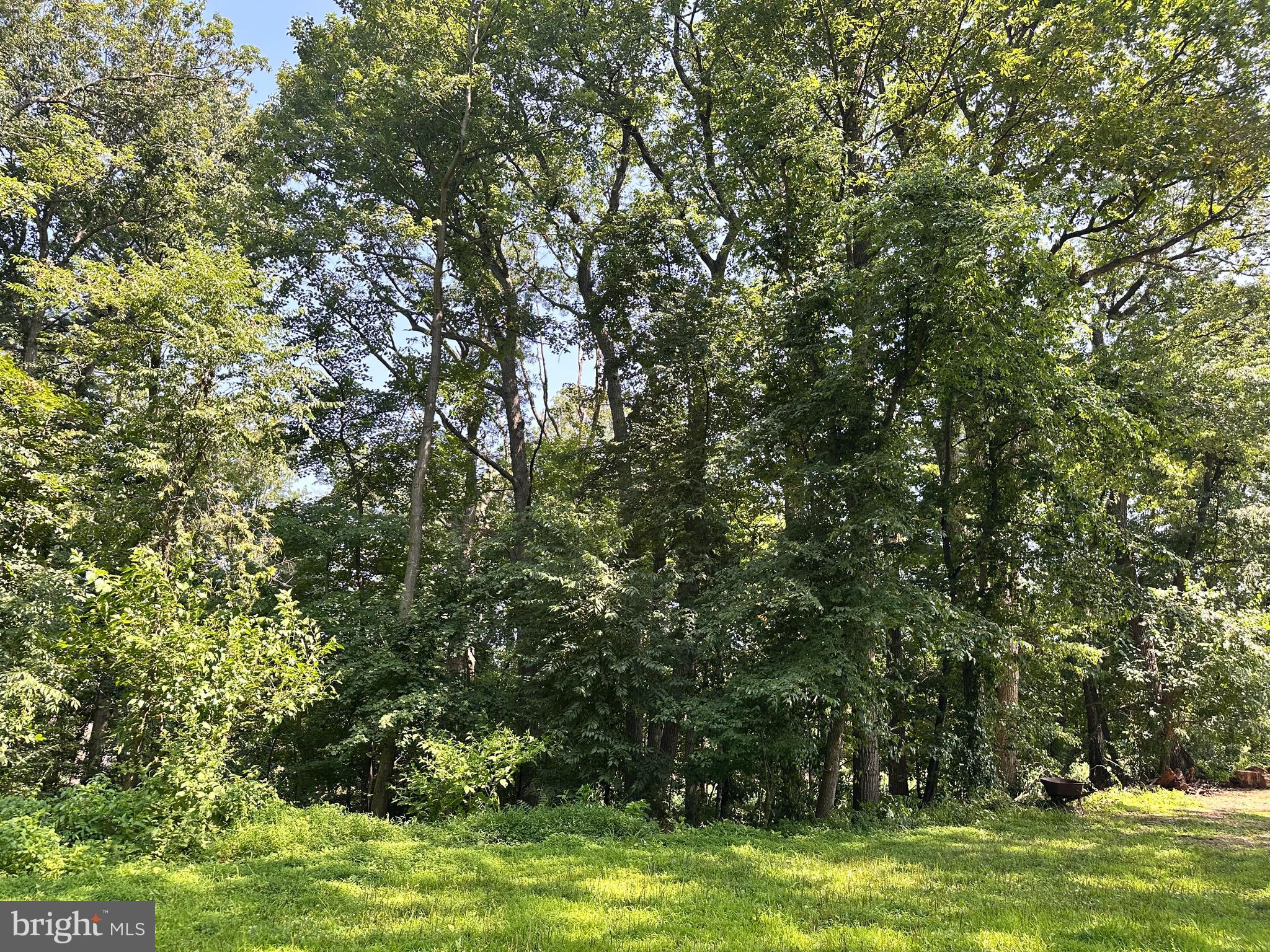 Oak Tree Ln Spring Grove Spring Grove, PA 17362 - Photo 6 of 8 Gallery Image 6