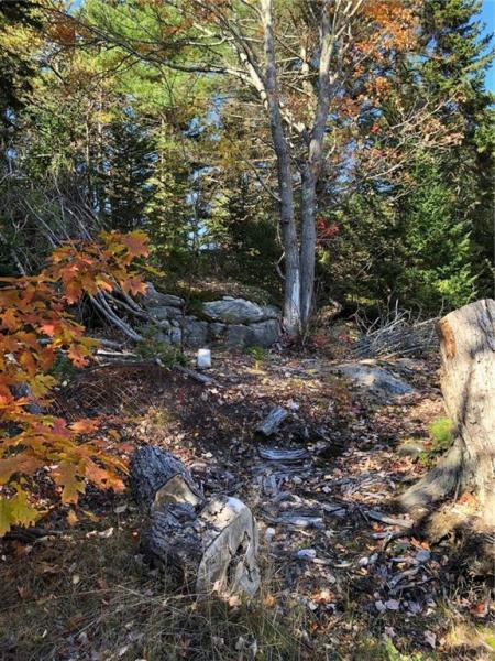 72 Ridge Road Phippsburg, ME 04562 - Photo 8 of 24 8