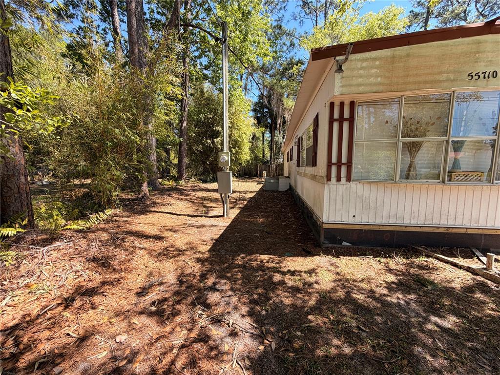55710 Fern Road Astor, FL 32102 - Photo 11 of 17