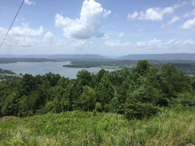 1 Bluffs Road North, Unit 1 Guild, TN 37340 - Photo 1 of 4 IMG_8400