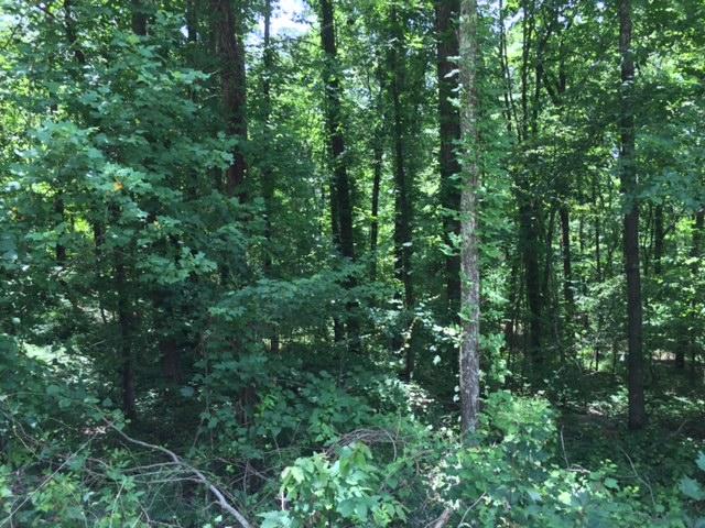1 Bluffs Road North, Unit 1 Guild, TN 37340 - Photo 2 of 4 IMG_8406