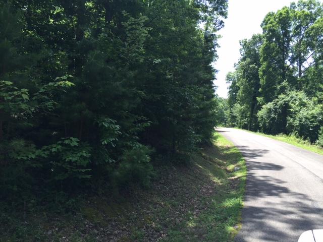 1 Bluffs Road North, Unit 1 Guild, TN 37340 - Photo 3 of 4 IMG_8416