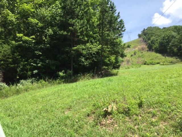 1 Bluffs Road North, Unit 1 Guild, TN 37340 - Photo 4 of 4 IMG_8419
