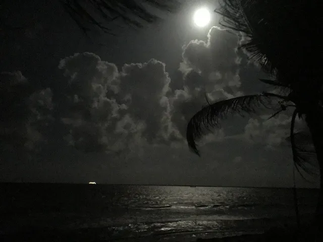 $399,995 | 64 La Carretera Mahahual-uvero Dickinson Tx 77539, Dickinson, TX 77539