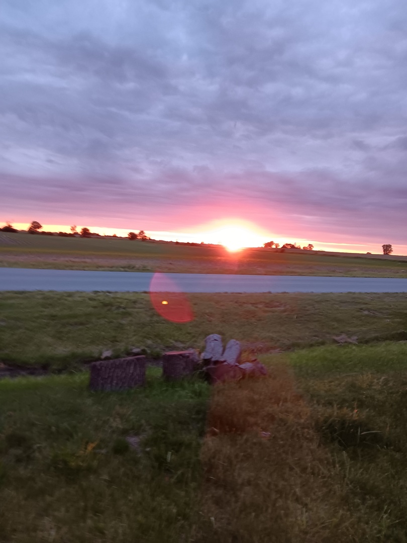 3 Drake Lane, Unit 3DRA Beecher, IL 60401 - Photo 13 of 18 a view of an outdoor and trees