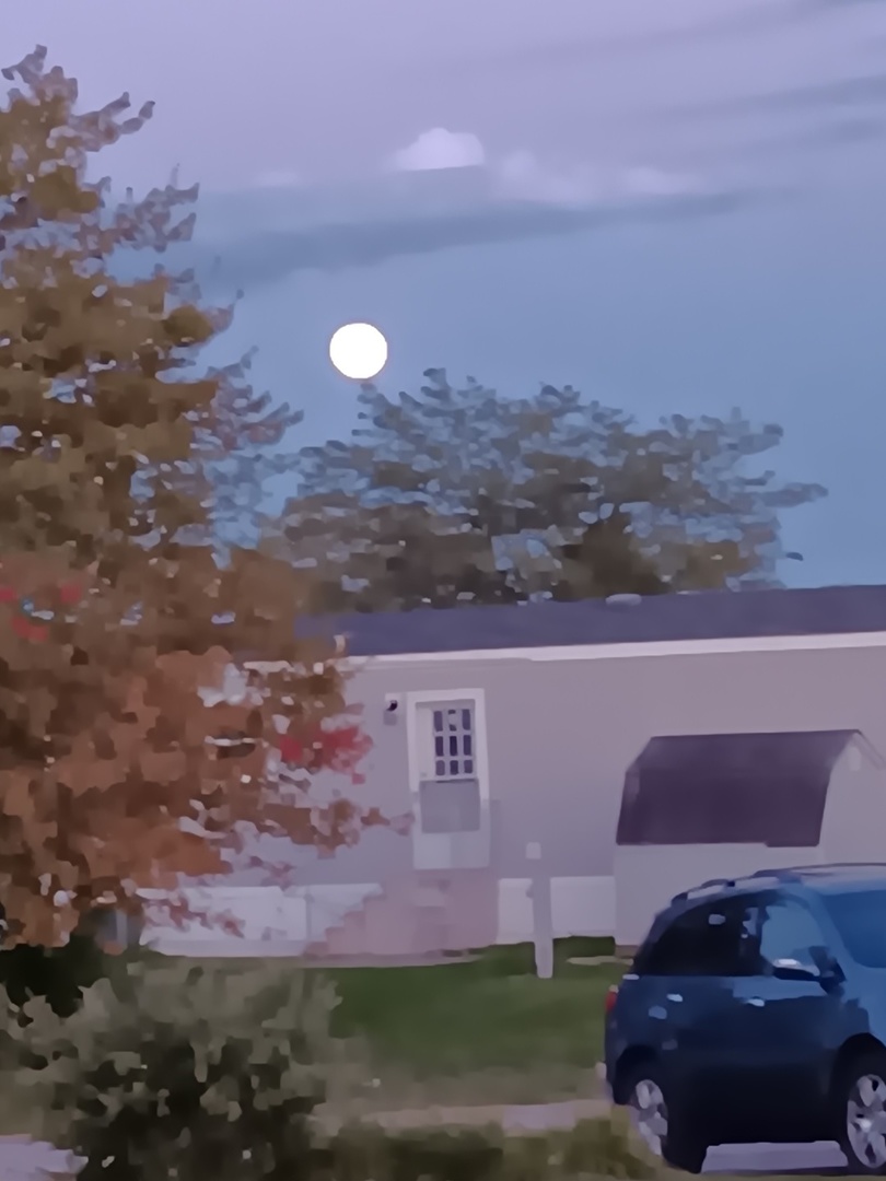 3 Drake Lane, Unit 3DRA Beecher, IL 60401 - Photo 14 of 18 a front view of a house with a yard