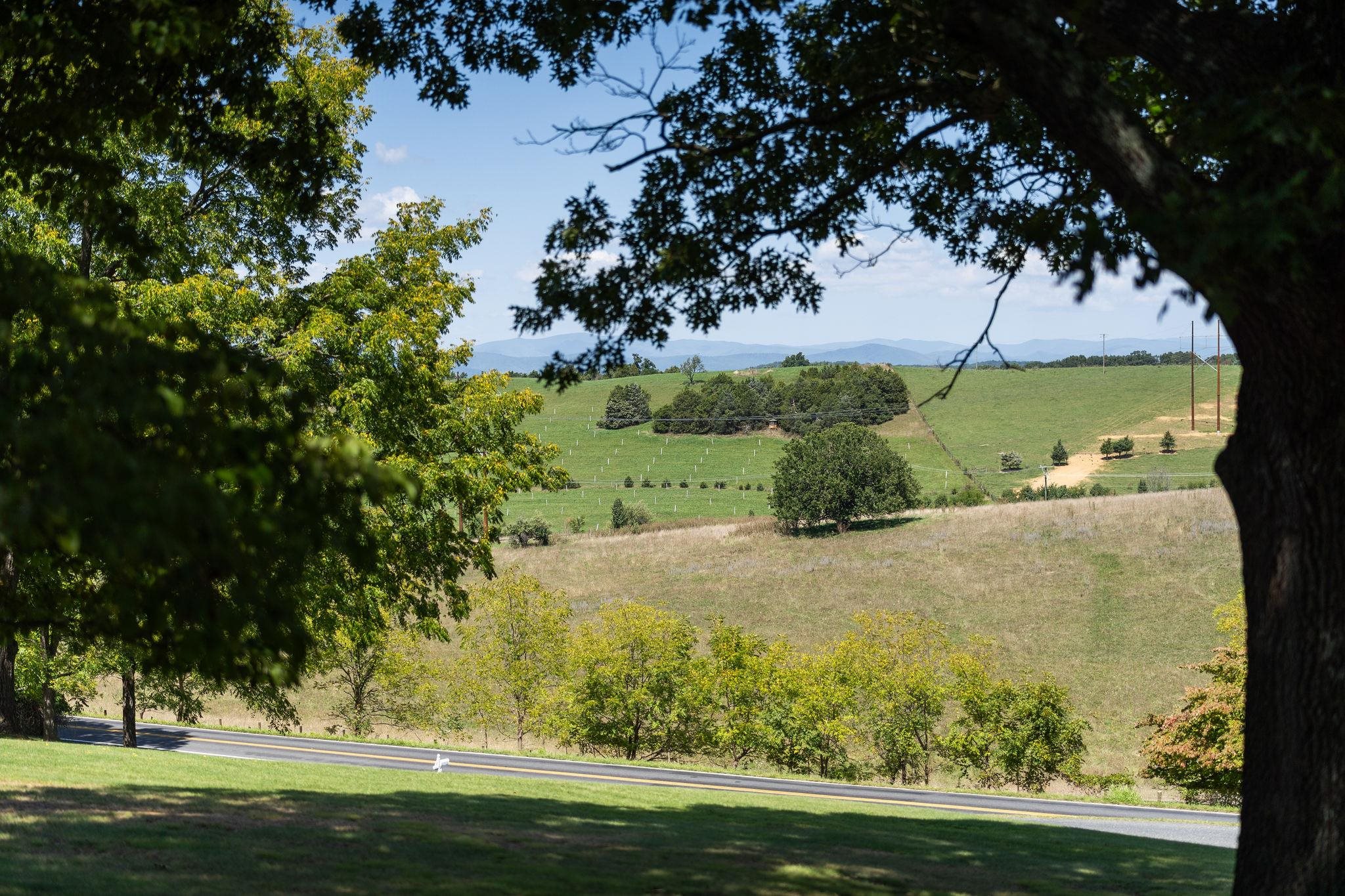192 Galena Road Staunton, VA 24401 - Photo 36 of 75 a view of a garden with an trees
