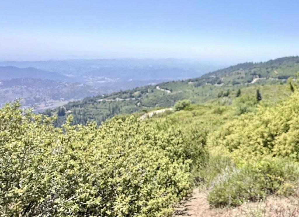 21789 Crestline Road Palomar Mountain, CA 92060 - Photo 1 of 1
