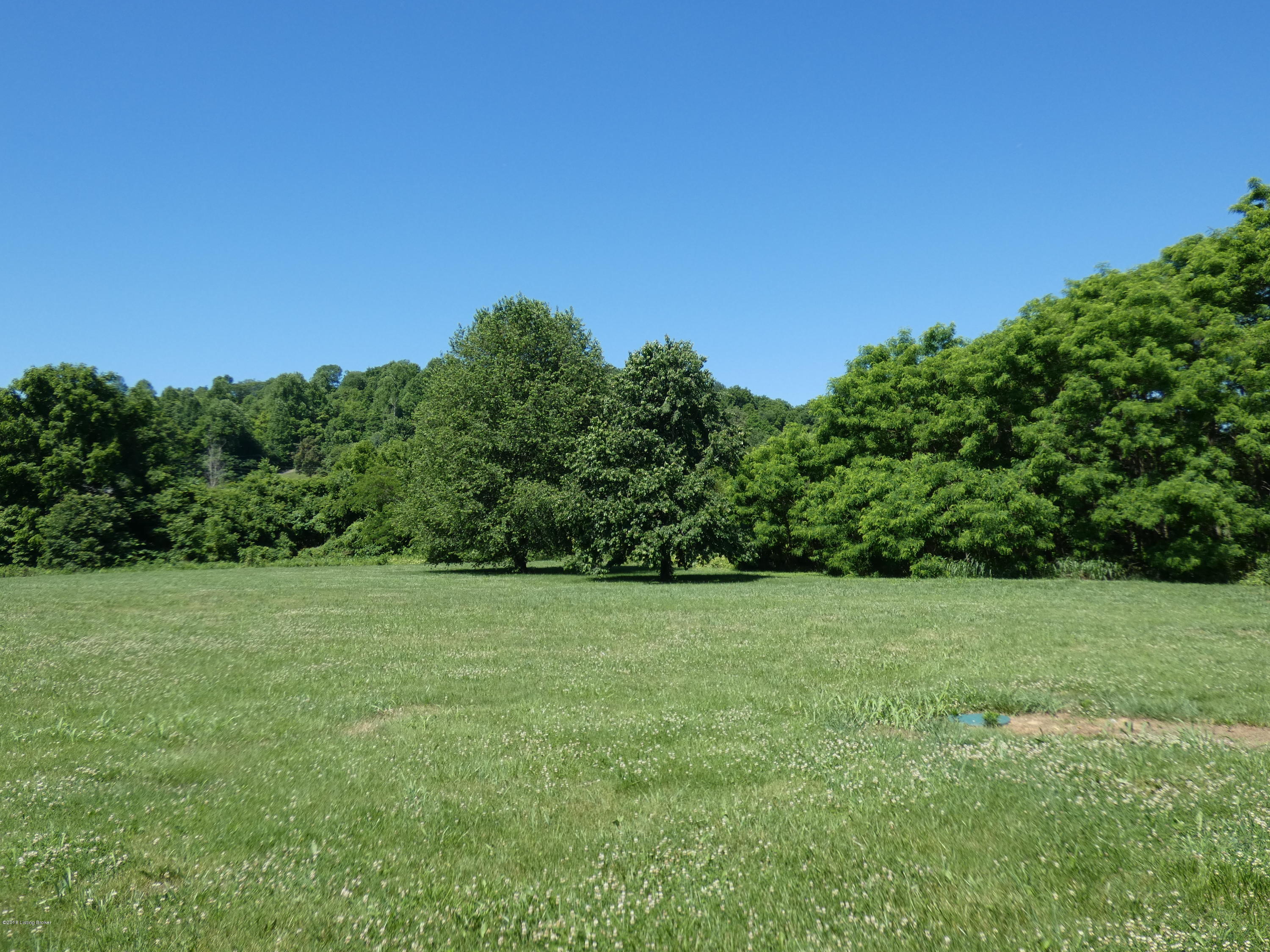 254 Kinkead Road Vine Grove, KY 40175 - Photo 21 of 21 P1000483
