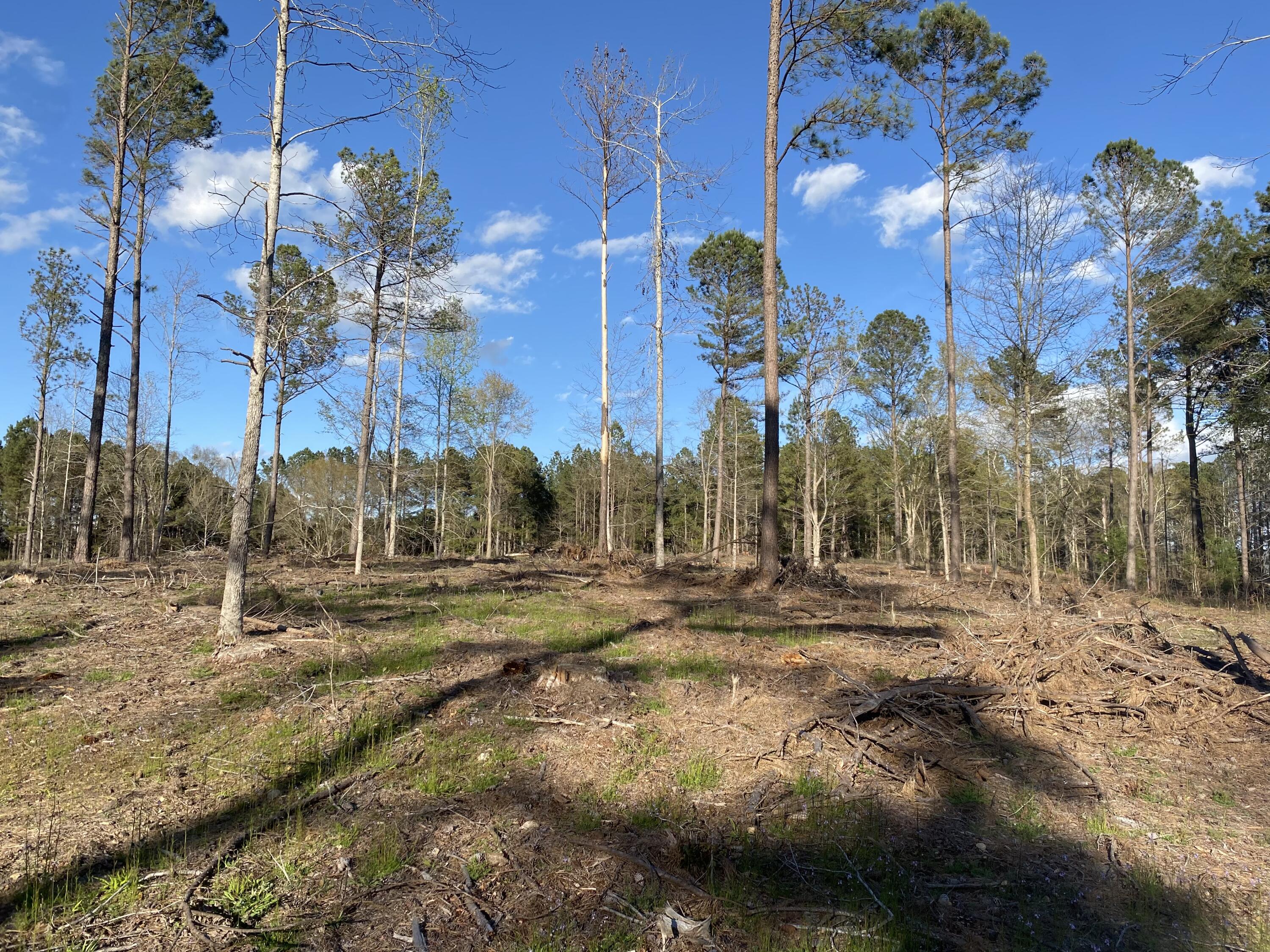 Five Old 5 Notch Road Edgefield, SC 29824 - Photo 1 of 4