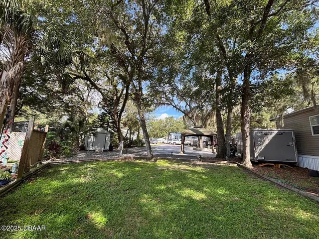 a view of a park with large trees