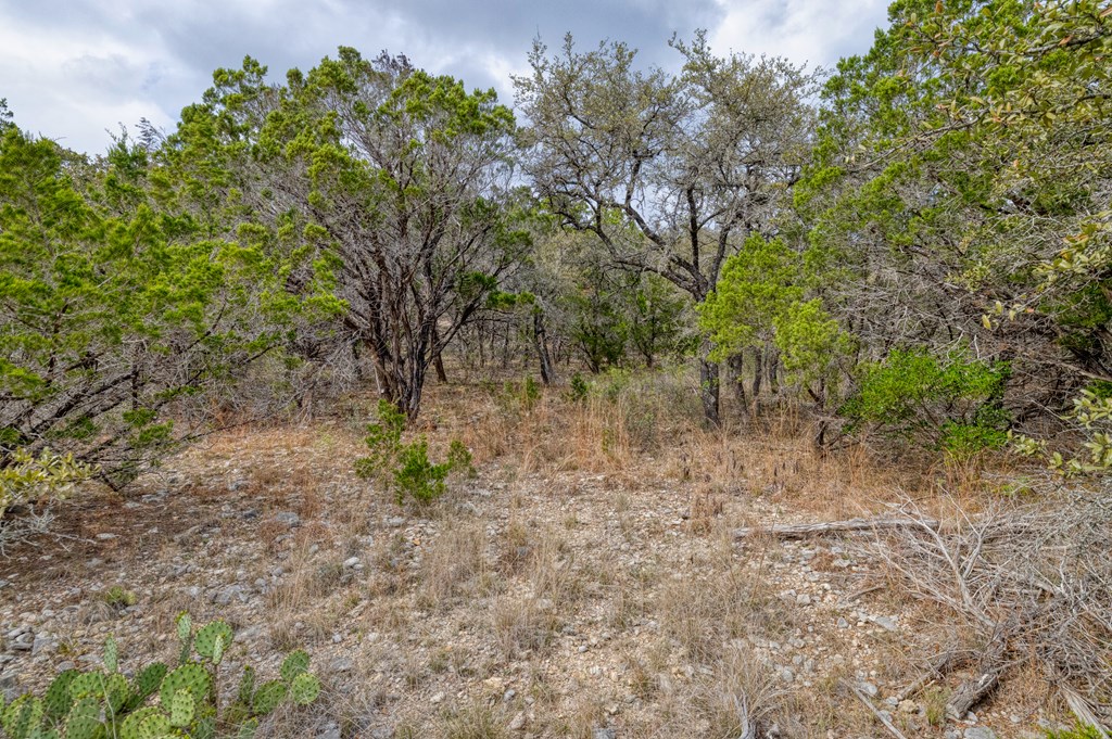 430 Frio Canyon Loop Concan, TX 78838 - Photo 3 of 55