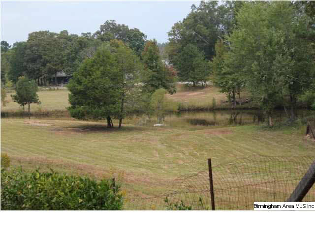 1184 County Road 178 Clanton, AL 35046 - Photo 14 of 14