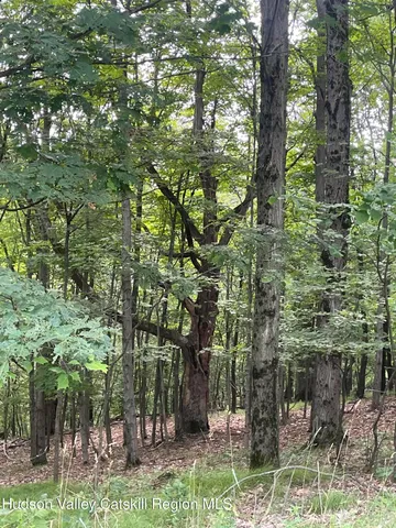 $725,000 | 156 Mercer Mountain Road, Canaan, NY 12060