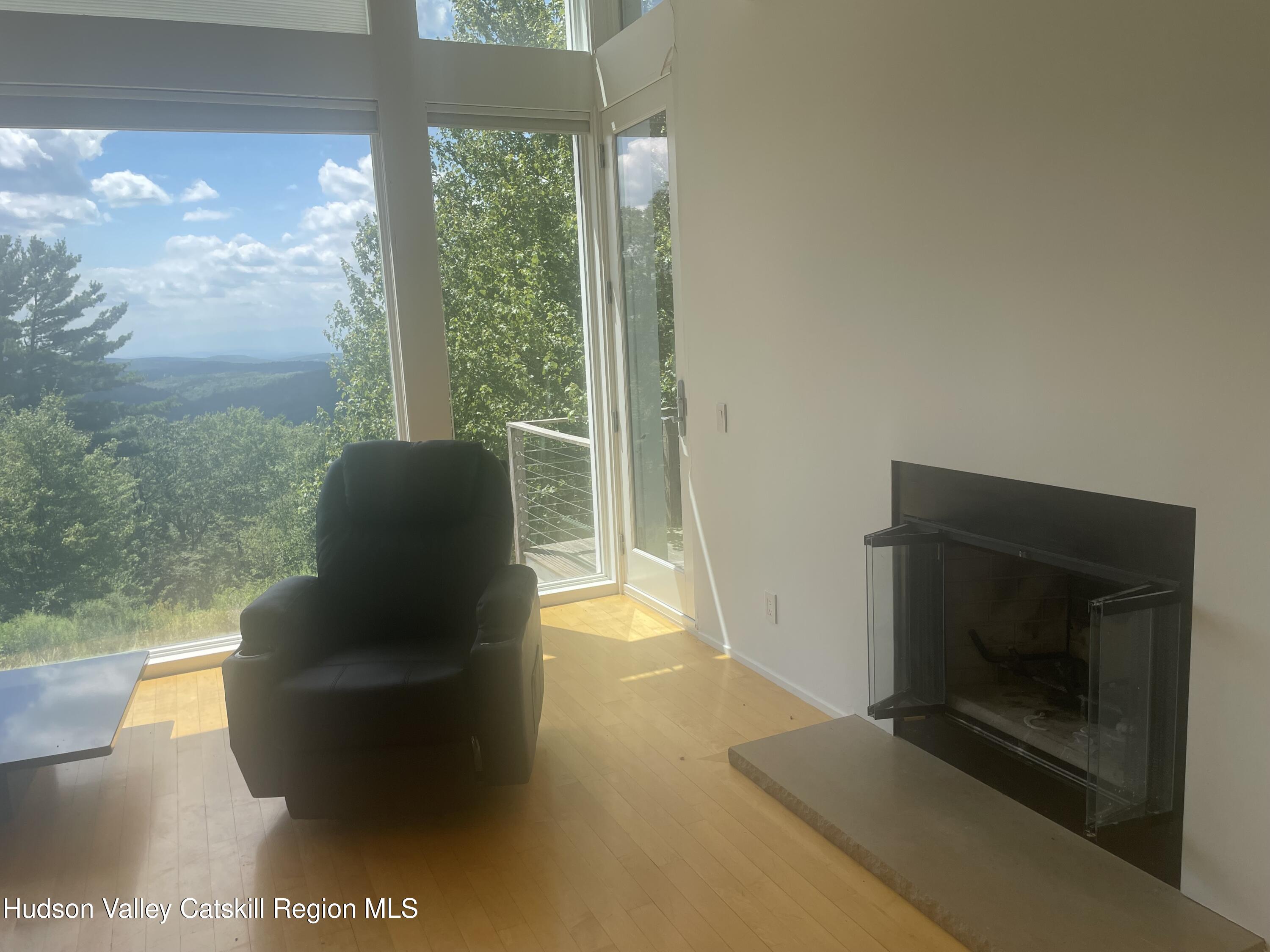 156 Mercer Mountain Road Canaan, NY 12060 - Photo 9 of 28 a living room with furniture and a fireplace