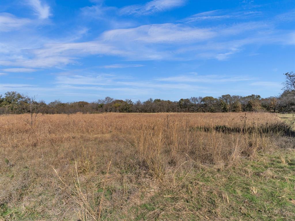 6334 Barrel Springs Road Nocona, TX 76255 - Photo 8 of 34 a view of lake with lots of green space