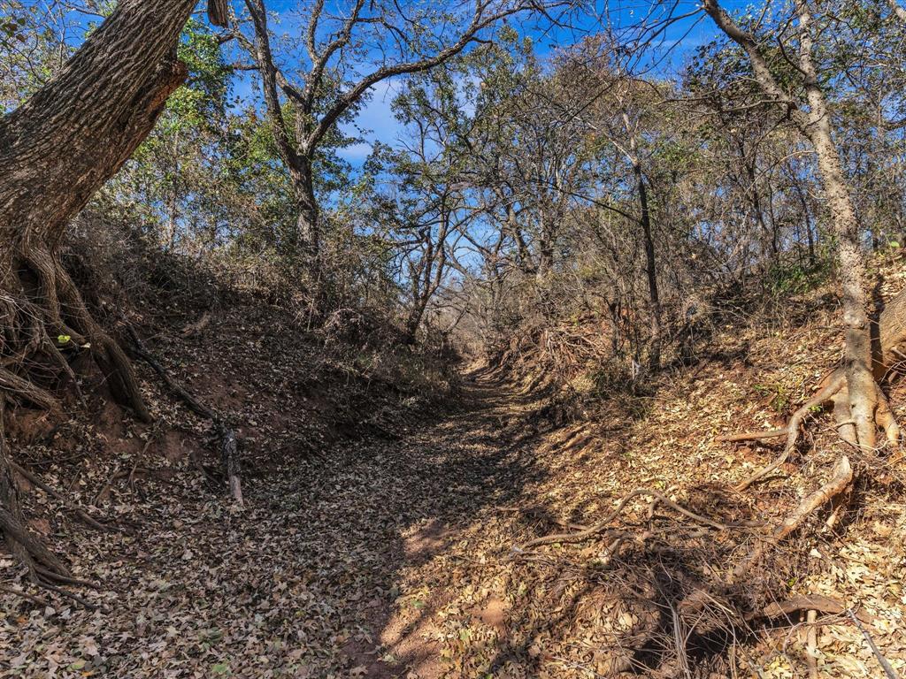 6334 Barrel Springs Road Nocona, TX 76255 - Photo 9 of 34 a view of a tree
