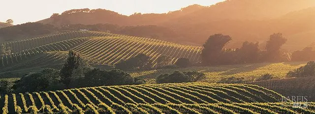 $850,000 | 1636 Sarkesian Drive, Petaluma, CA 94954