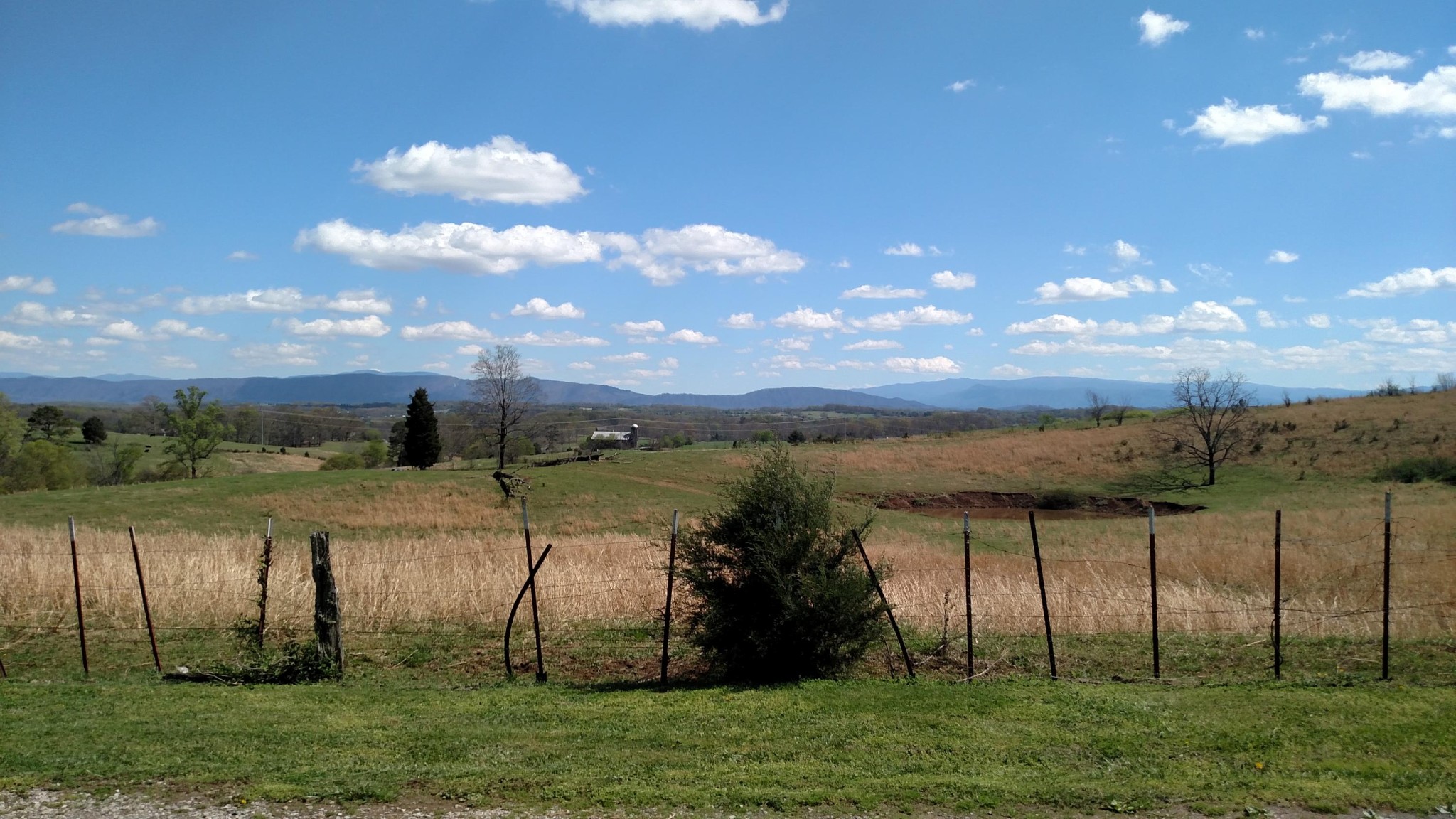 2400 Meadow Road West Greenback, TN 37742 - Photo 14 of 35 Gallery Image 14