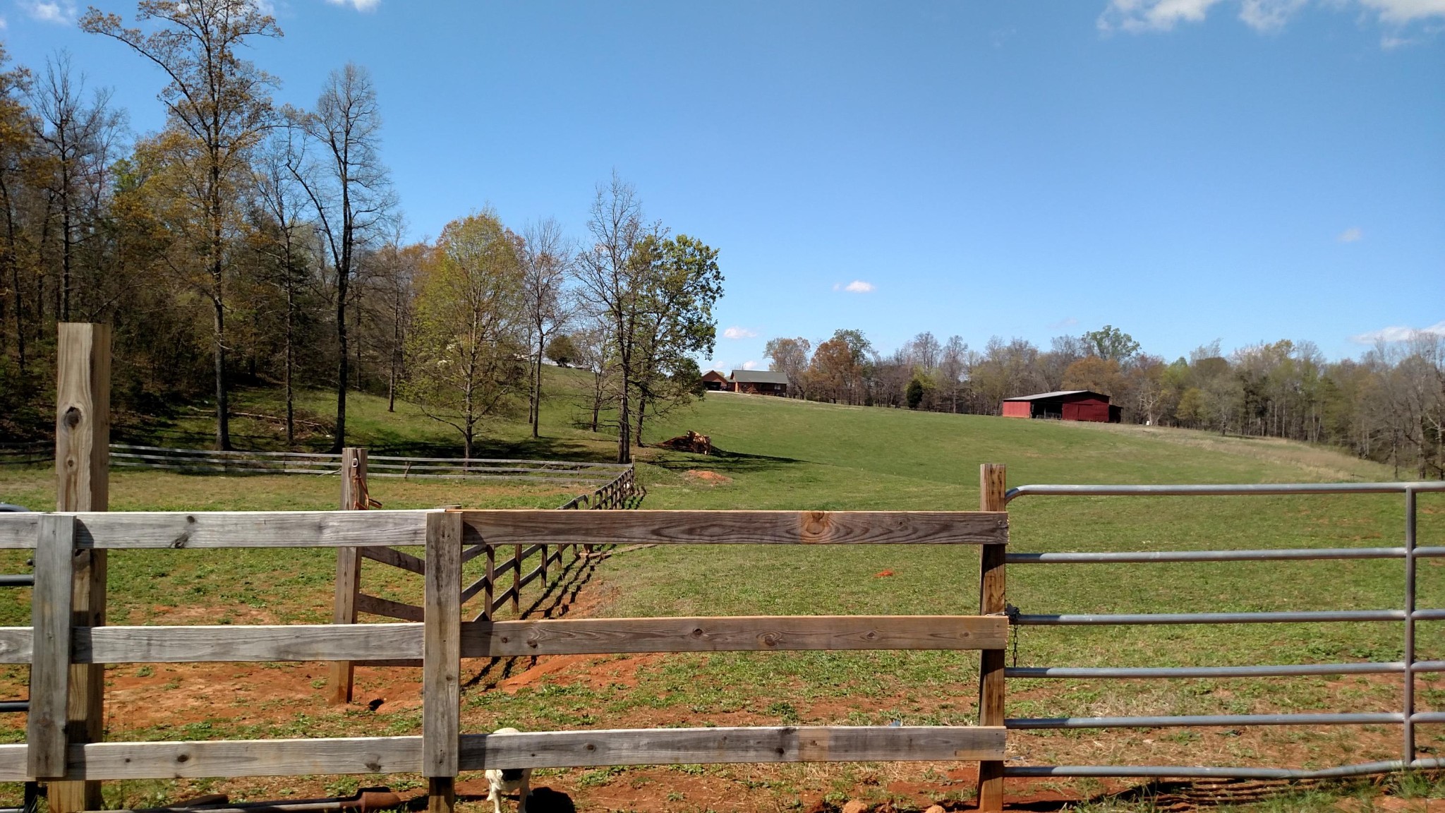 2400 Meadow Road West Greenback, TN 37742 - Photo 10 of 35 Gallery Image 10