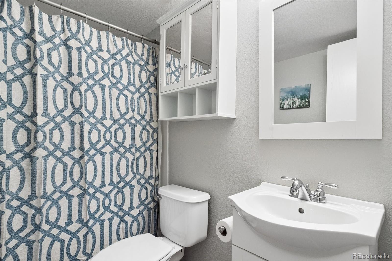 9377 Newport Lane Highlands Ranch, CO 80130 - Photo 17 of 26 a bathroom with a toilet a sink and a mirror